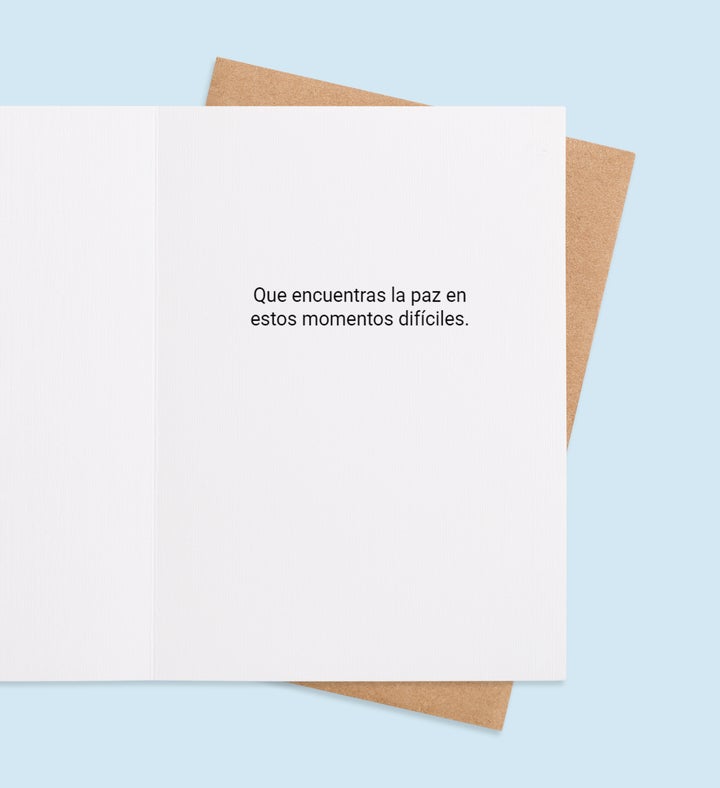 Bunch Of Comfort Inside view