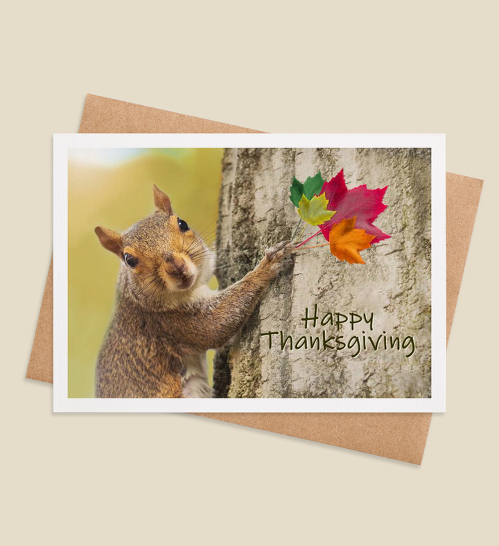 Nutty Gratitude Greeting Card