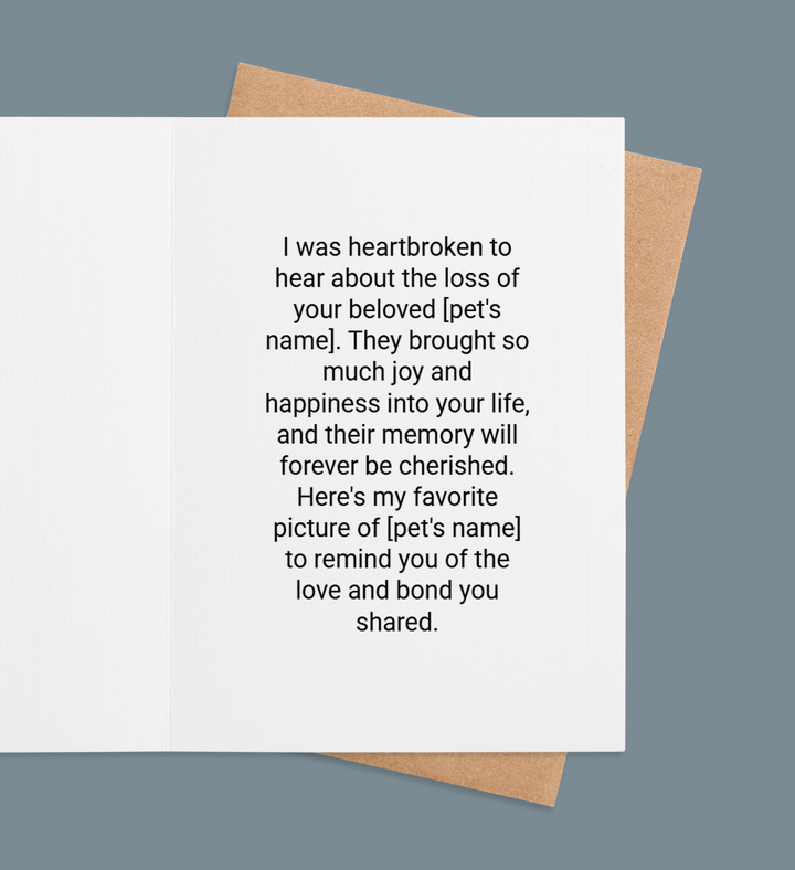 Paws of Forever Inside view