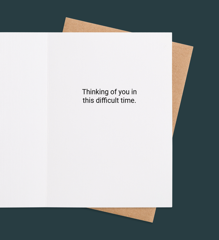 Elegance of Solace Inside Image