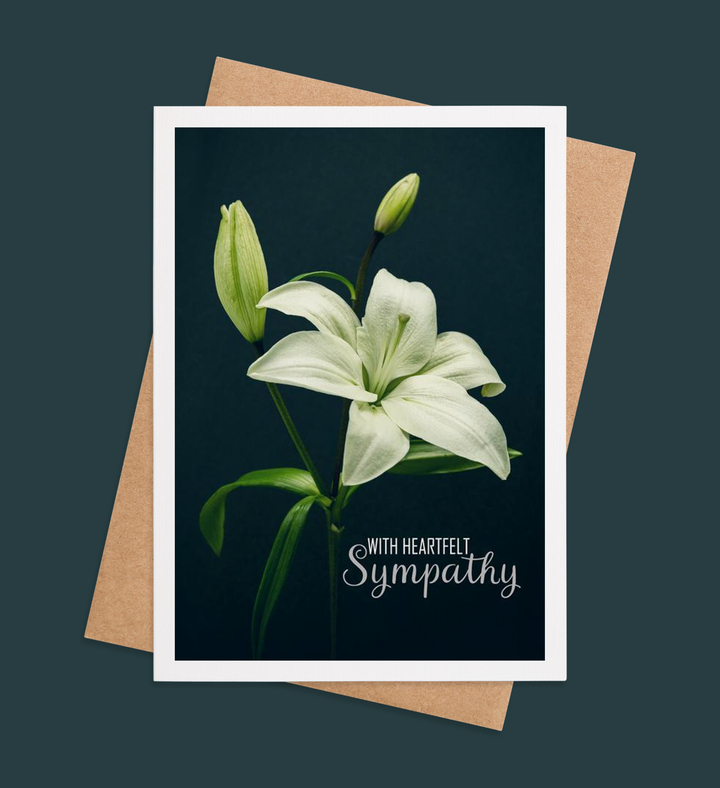 Elegance of Solace Image