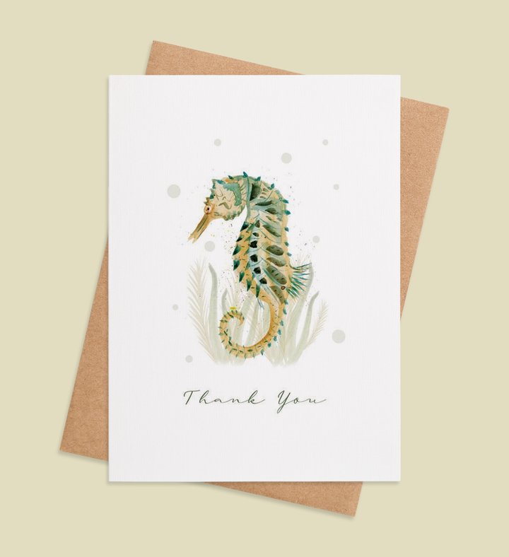 Seahorse Sincerity Image